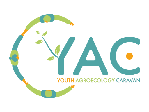 YACCambodia